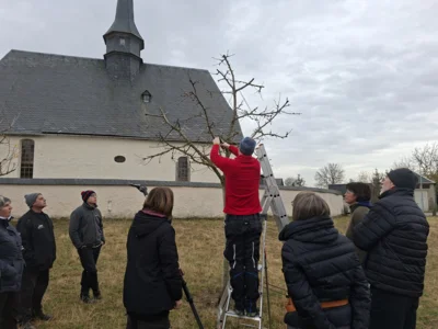 Obstbaumschnittkurse Dreba und Gahma