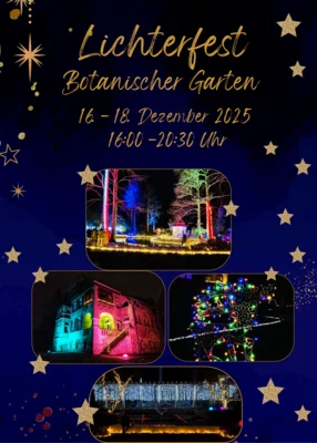 Flyer Lichterfest 2025
