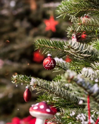 Weihnachtsgruß der Amtsvorsteherin