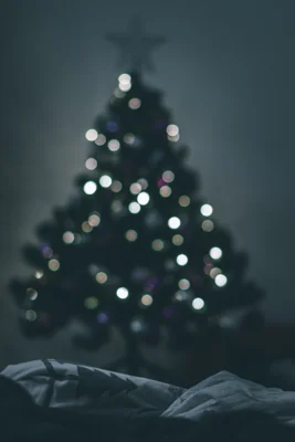 Weihnachtsbäume der Gemeinde (Bild vergr&ouml;&szlig;ern)