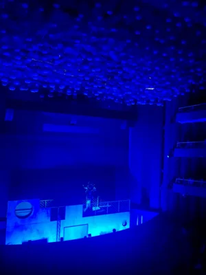 Vorschaubild zur Meldung: Theaterbesuch unserer Schule: „Funklerwald“ im Großen Haus Münster