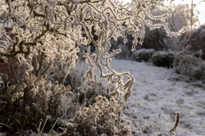 Winterquartier Naturgarten: So hilfst du Tieren und förderst Biodiversität (Bild vergr&ouml;&szlig;ern)