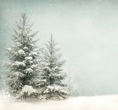 Meldung: Wir haben vom 22.12.25 - 04.01.2026 Betriebsferien