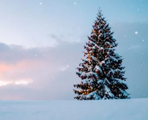 Foto : canva (Bild vergr&ouml;&szlig;ern)