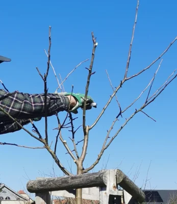 Streuobstwiesen erwarten den Frühling (Bild vergr&ouml;&szlig;ern)