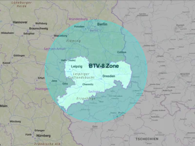 Meldung: BTV-8-Ausbruch in Sachsen