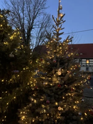 Frohe Weihnachten und ein herzliches Dankeschön (Bild vergr&ouml;&szlig;ern)