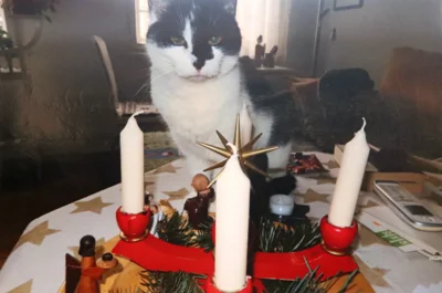 Weihnachtliche Grüße von Isis (Bild vergr&ouml;&szlig;ern)