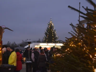 An beiden Tagen des Weihnachtsmarktes war das Stadtzentrum gut besucht. © Stadtverwaltung (Bild vergr&ouml;&szlig;ern)