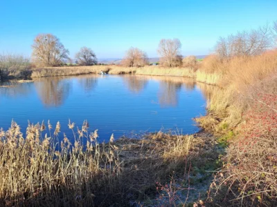 Mähboot im Einsatz