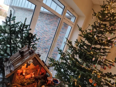 Es weihnachtet im ganzen Haus