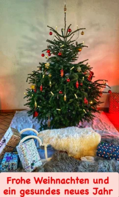 Frohe Weihnachten!