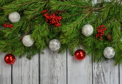 Frohe Weihnachten und einen guten Rutsch ins neue Jahr...