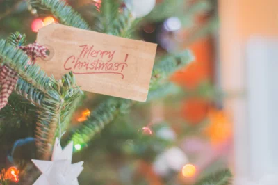 Weihnachts- und Neujahresgruß (Bild vergr&ouml;&szlig;ern)