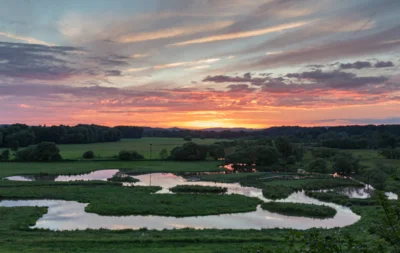 Biotop Beeden. Foto: Saarpfalz-Tourismus, Daniel Spohn