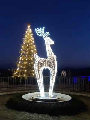 Frohes Weihnachtsfest 2025 (Bild vergr&ouml;&szlig;ern)