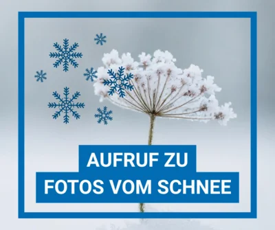 Winterzauber in Kloster Lehnin (Bild vergr&ouml;&szlig;ern)