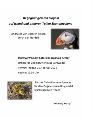 Begegnungen mit Vögeln (Bild vergr&ouml;&szlig;ern)