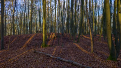 Meldung: Kurzvorstellung - Slawenburg Ruhner Berge
