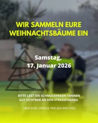 Meldung: Einsammeln der Weihnachtsbäume
