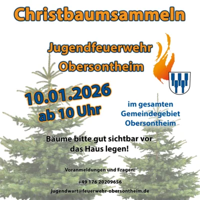 Christbaum sammeln (Bild vergr&ouml;&szlig;ern)