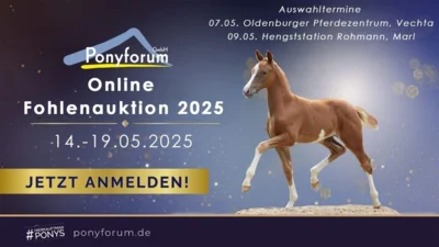 Meldung: Ponyforum GmbH: Start der Fohlenvermarktung 2025
