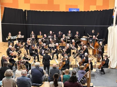 Meldung: Klassik-Konzert des Wandsbeker Sinfonieorchesters