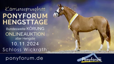 Meldung: Ponyforum Hengsttage 2024 – jetzt anmelden!