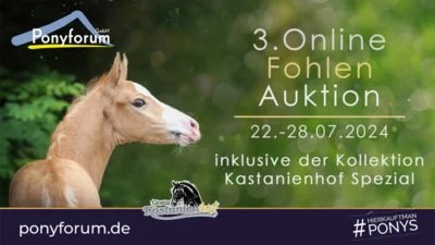 Meldung: Ponyforum GmbH: Start der Online Fohlenauktion