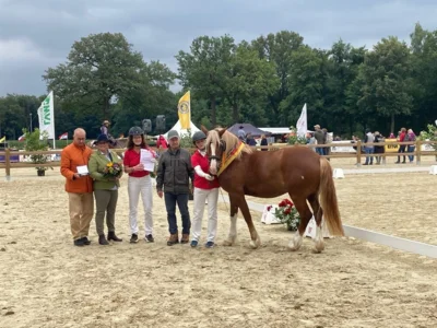 Meldung: FN Bundesstutenschau Sportponyrassen