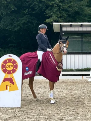Meldung: DSP-Championate im Viereck, Parcours und Cross