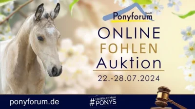 Meldung: Ponyforum GmbH: Auswahltermin Online Fohlenauktion auf dem Kastanienhof Eifa