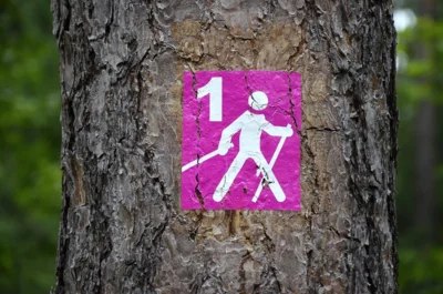 Nordic Walking beim LC Euskirchen (Bild vergr&ouml;&szlig;ern)