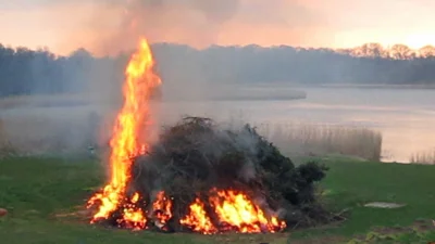 Frühjahrsfeuer (Bild vergr&ouml;&szlig;ern)
