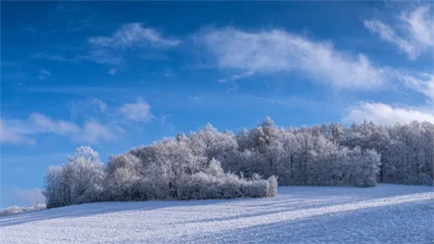 Eine schneebedeckte Wiese, ein von Reif überzogener Waldrand und ein klarer blauer Himmel. Foto: Steffen Jung