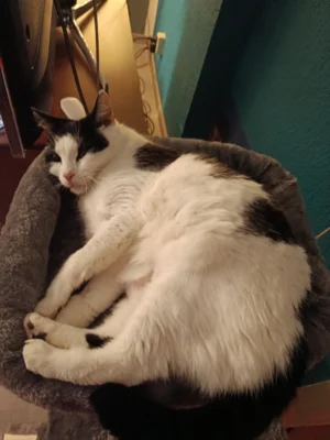 Bianca ist zu Hause angekommen (Bild vergr&ouml;&szlig;ern)