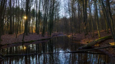 Meldung: Kurzvorstellung Quelle im Ruhner Wald