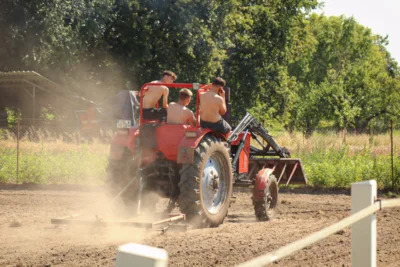 Eins der drei Siegerbilder vom Kreis-Erntefest Foto-Wettbewerb 2024 in Peickwitz. Foto: Jolina Franke (Bild vergr&ouml;&szlig;ern)