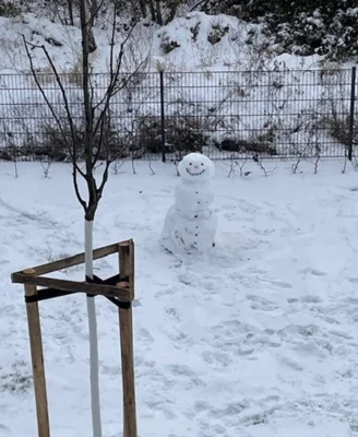 Meldung: Das Böhlitzer Winterwunderland