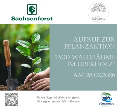 Pflanzaktion "1.500 Waldbäume im Oberholz"