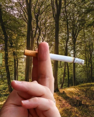 Eine brennende Zigarette in einer Hand vor Waldkulisse (Bild vergr&ouml;&szlig;ern)