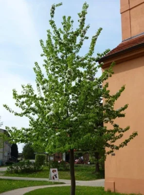 Impuls für den Monat Februar (Bild vergr&ouml;&szlig;ern)