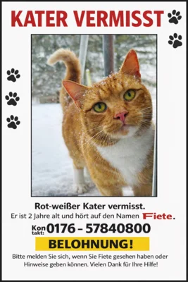 Meldung: Kater vermisst in Dalberg
