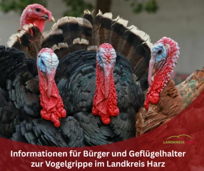 ©Landkreis Harz (Bild vergr&ouml;&szlig;ern)