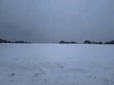 Foto: Oetjen (Bild vergr&ouml;&szlig;ern)