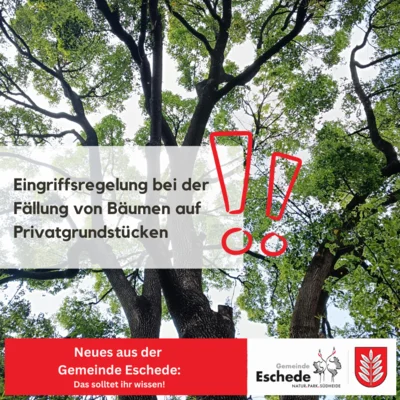 Eingriffsregelung bei der Fällung von Bäumen auf Privatgrundstücken (Bild vergr&ouml;&szlig;ern)