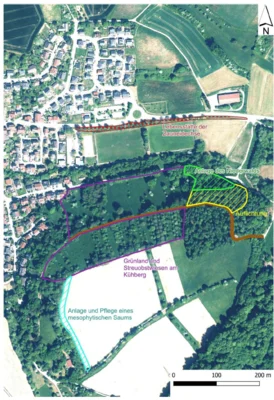 Abb.: Hier sind der Niederwald in grün,  die Auflichtungsfläche in gelb, sowie der Saum in türkis zu sehen. (Bild vergr&ouml;&szlig;ern)