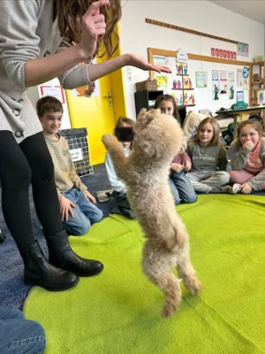 Meldung: Vierbeiniger Gast an der Grundschule