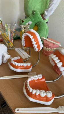 Symbolbild Zahngesundheit (Bild: Landkreis OSL/Nele Wüstefeld) (Bild vergr&ouml;&szlig;ern)