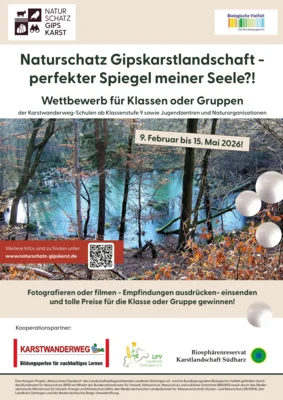 Wettbewerbsplakat (Bild vergr&ouml;&szlig;ern)